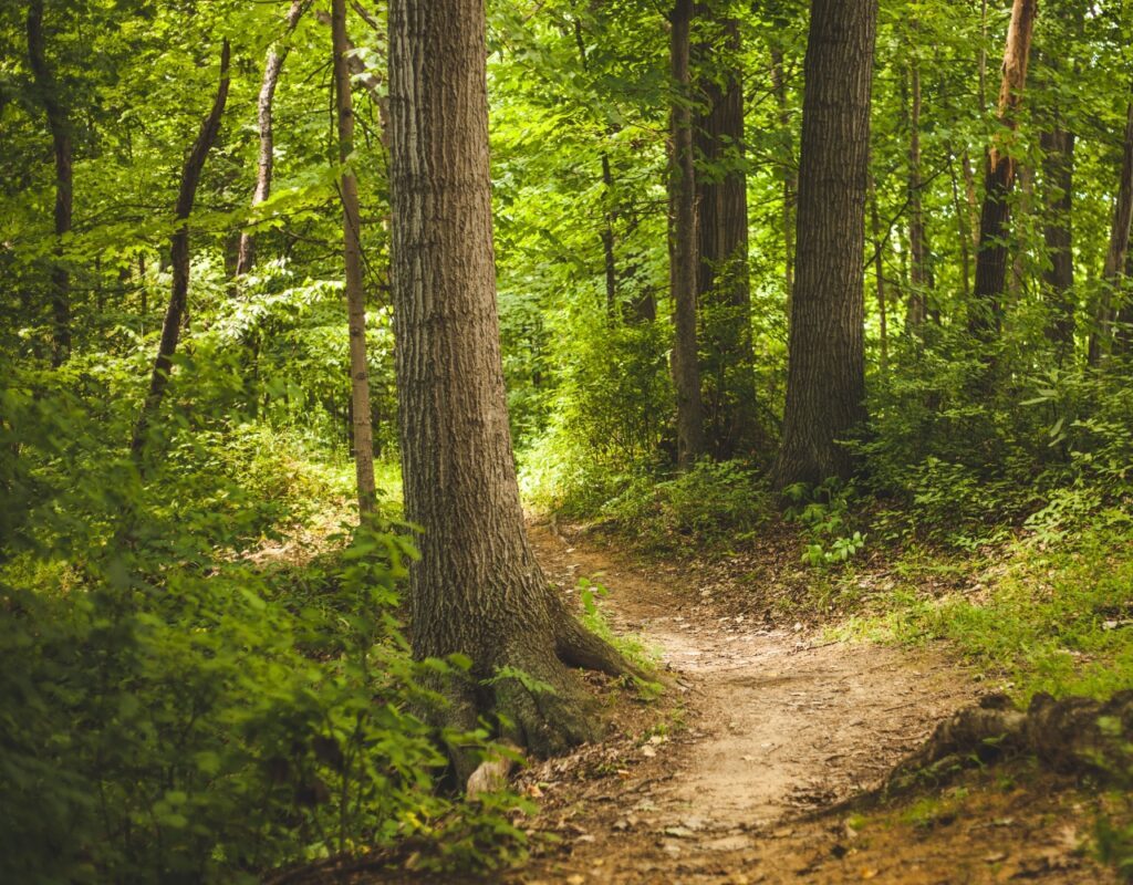 Ferienhaus in der Natur